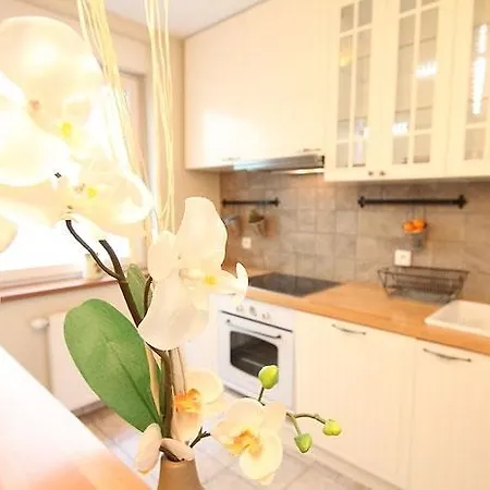 Leoapart Czysta Appartamento